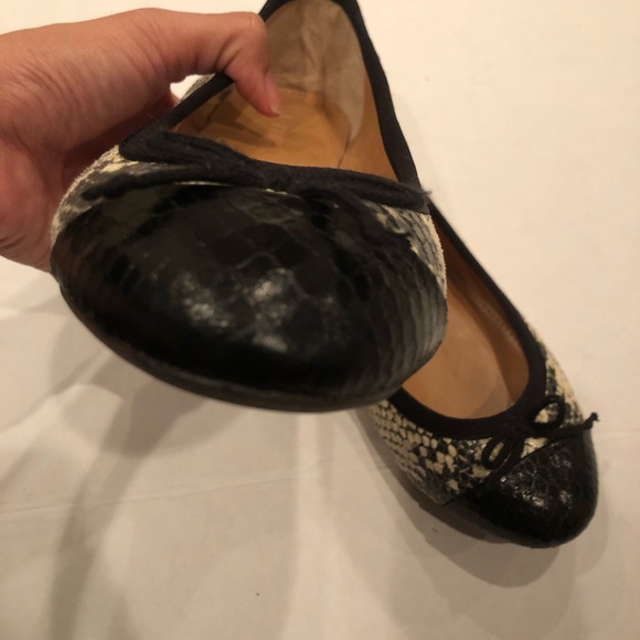 J.Crew animal print falts 6 - Picture 4 of 5